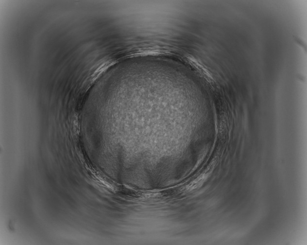 X0000096961353200802291111