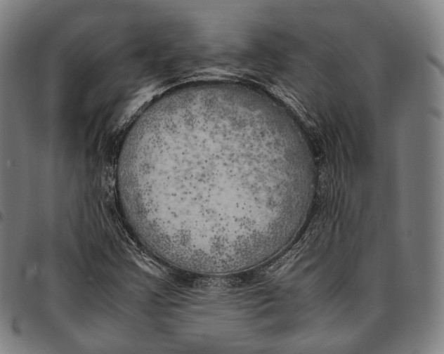 X0000096961355200802291111