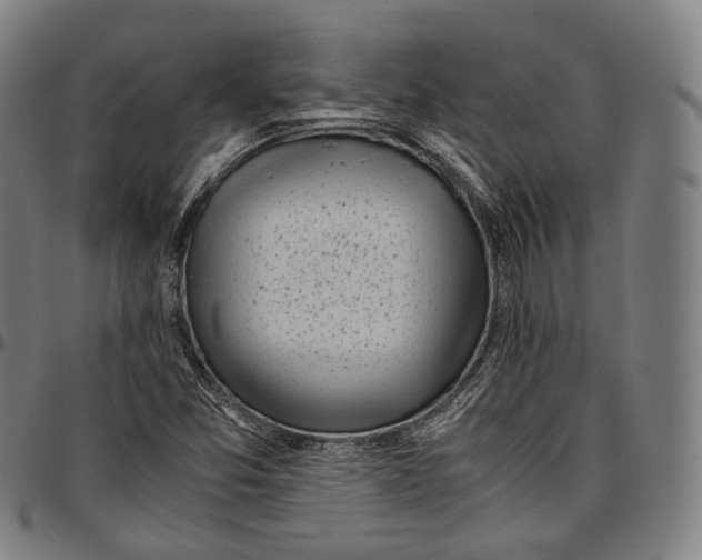 X0000096961357200802291111