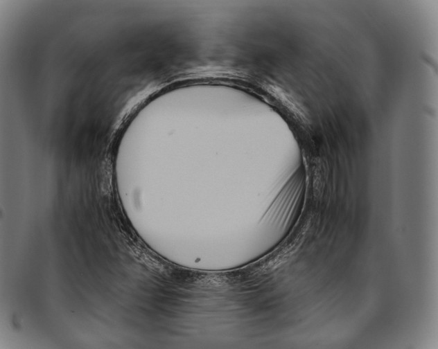 X0000096961358200802291111