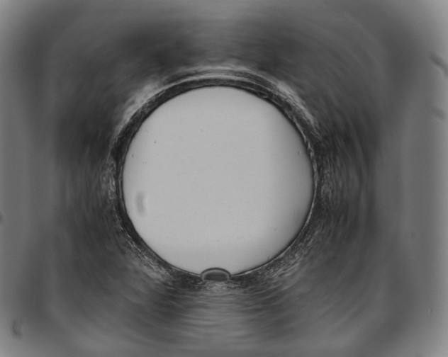 X0000096961360200802291111