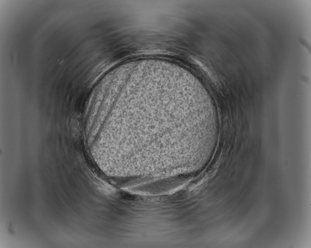 X0000096961361200802291111