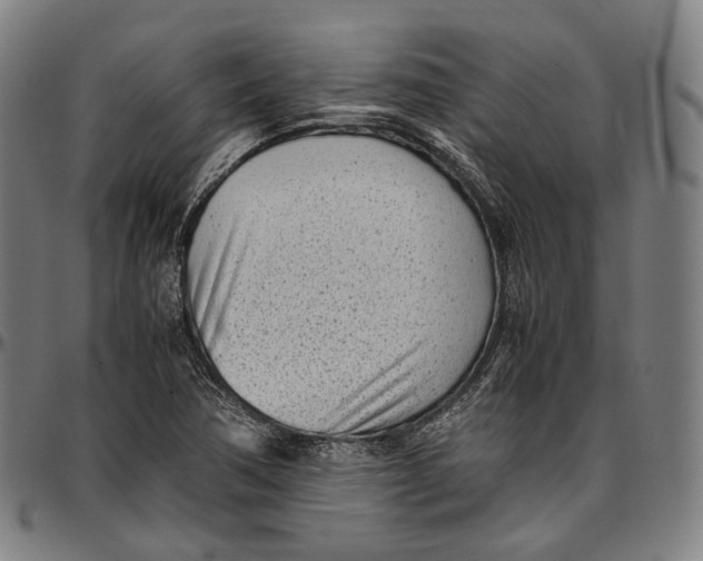 X0000096961362200802291111