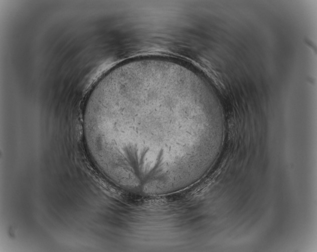 X0000096961363200802291111