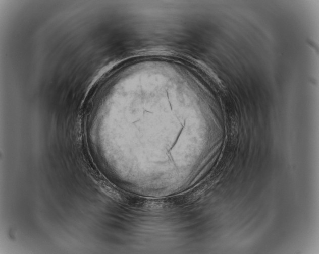 X0000096961364200802291111