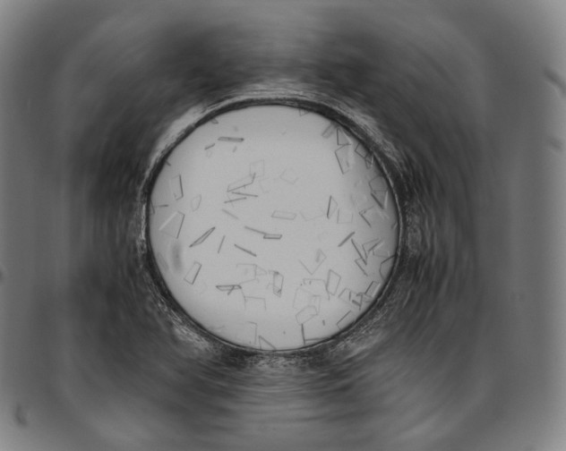 X0000096961366200802291111