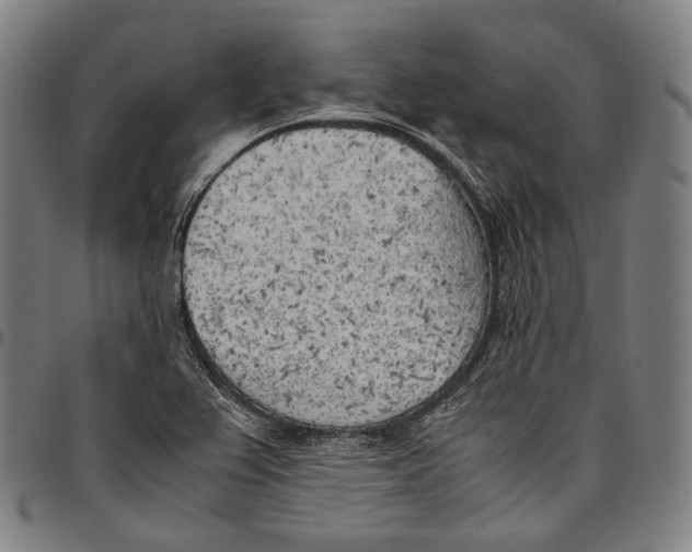 X0000096961367200802291111