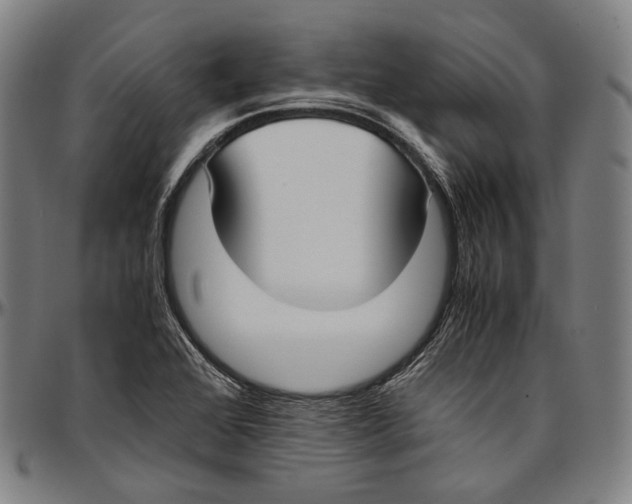 X0000096961368200802291111