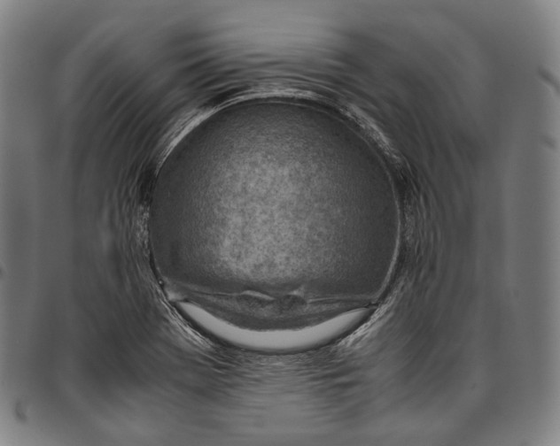 X0000096961369200802291111