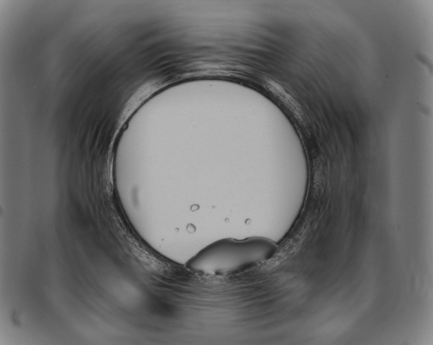 X0000096961370200802291110