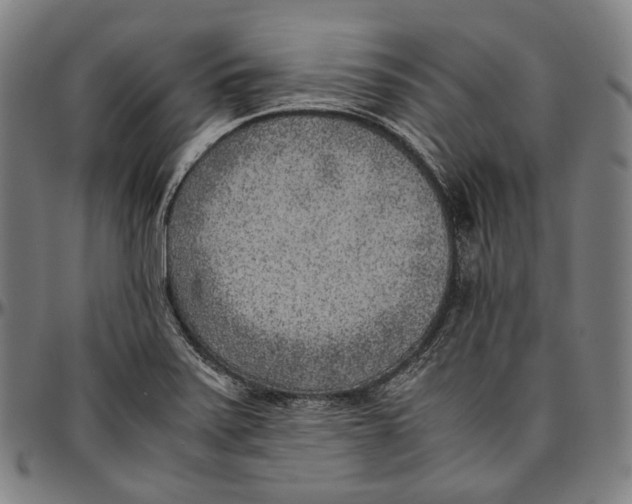 X0000096961371200802291110