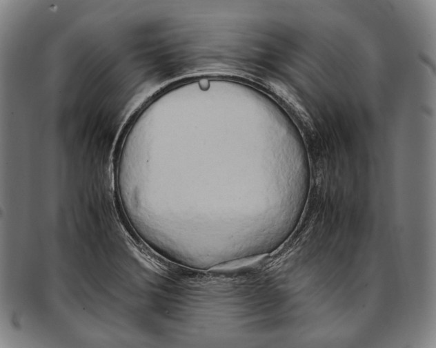 X0000096961372200802291110