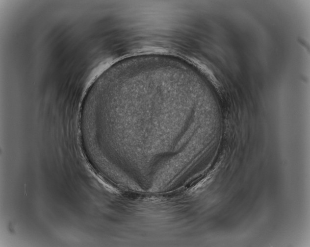 X0000096961373200802291110