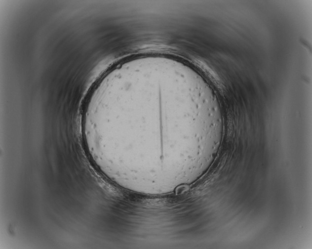 X0000096961376200802291110