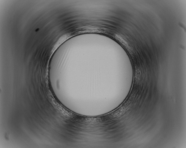 X0000096961378200802291110