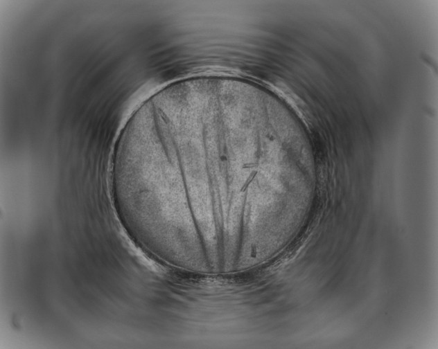 X0000096961379200802291110