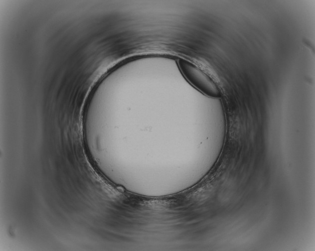 X0000096961380200802291110