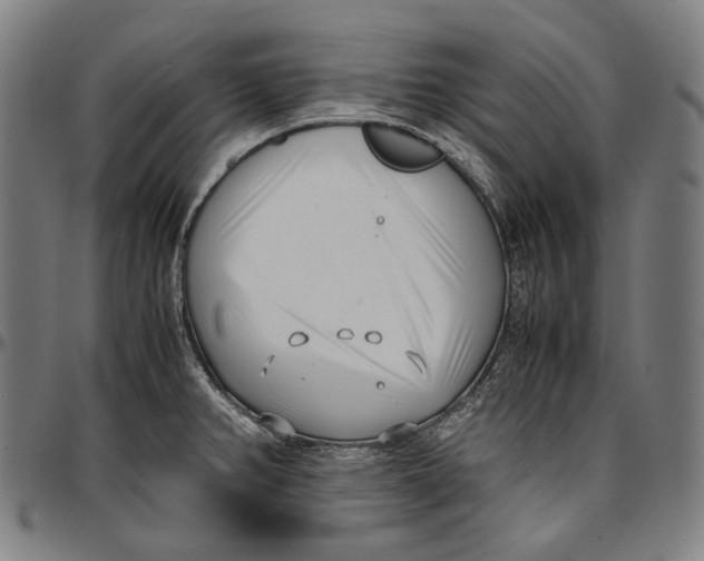 X0000096961382200802291110