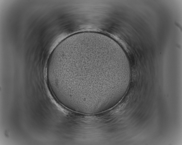 X0000096961383200802291110