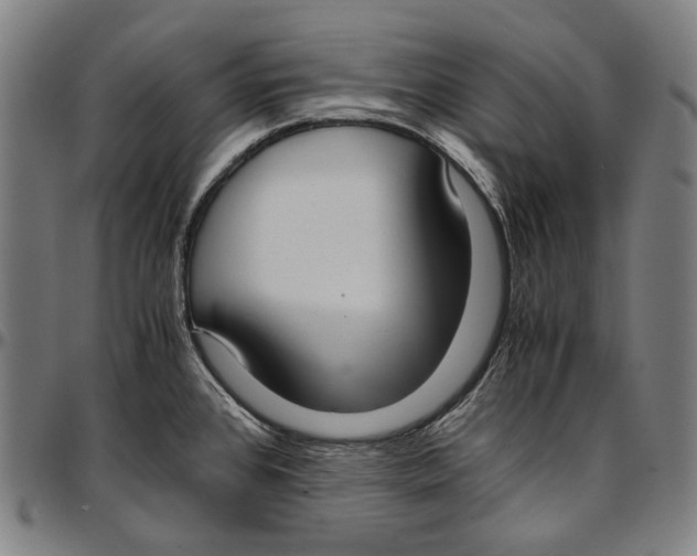 X0000096961384200802291110