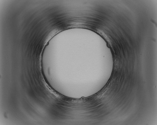 X0000096961386200802291110