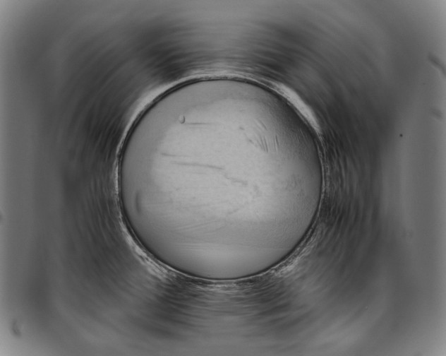 X0000096961388200802291110