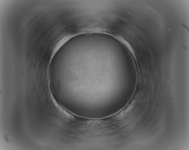 X0000096961389200802291110