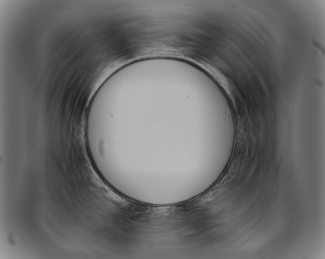 X0000096961390200802291110