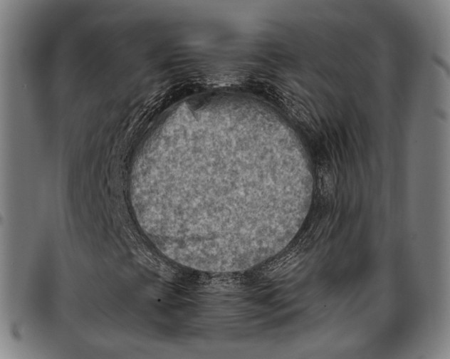 X0000096961393200802291109