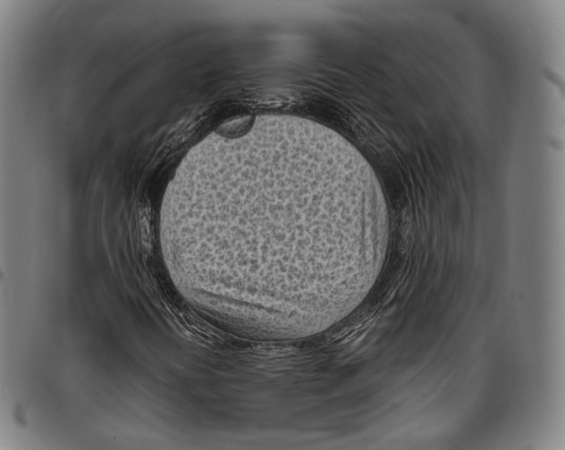 X0000096961394200802291109