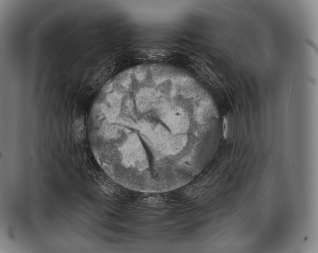 X0000096961395200802291109