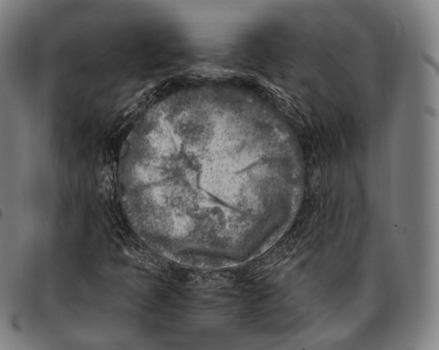 X0000096961397200802291109