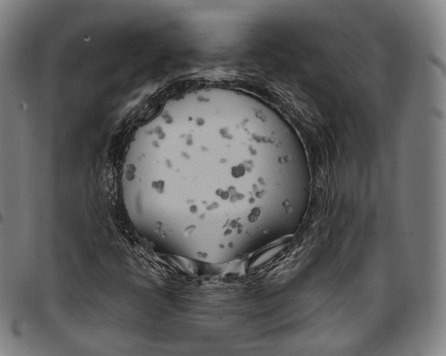 X0000096961398200802291109