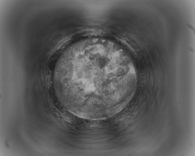 X0000096961399200802291109