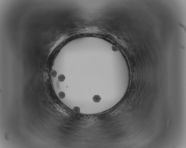 X0000096961400200802291109