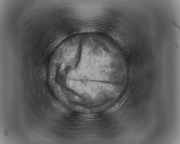 X0000096961401200802291110