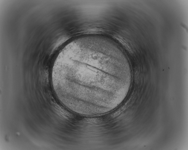 X0000096961402200802291110