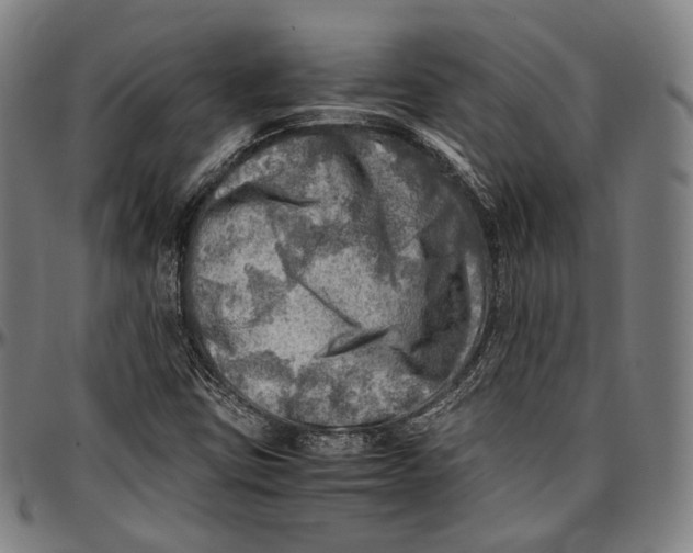 X0000096961403200802291110