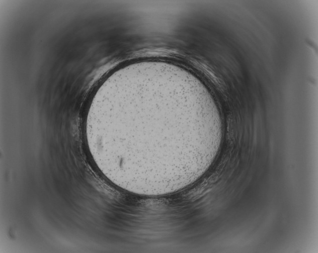 X0000096961404200802291110