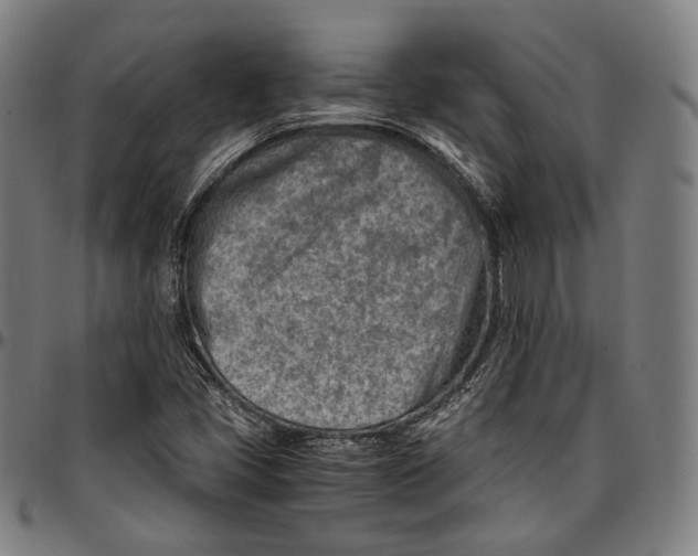 X0000096961405200802291110