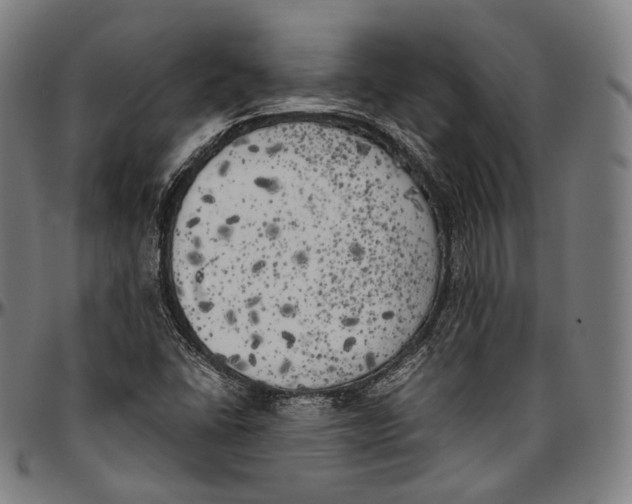 X0000096961406200802291110