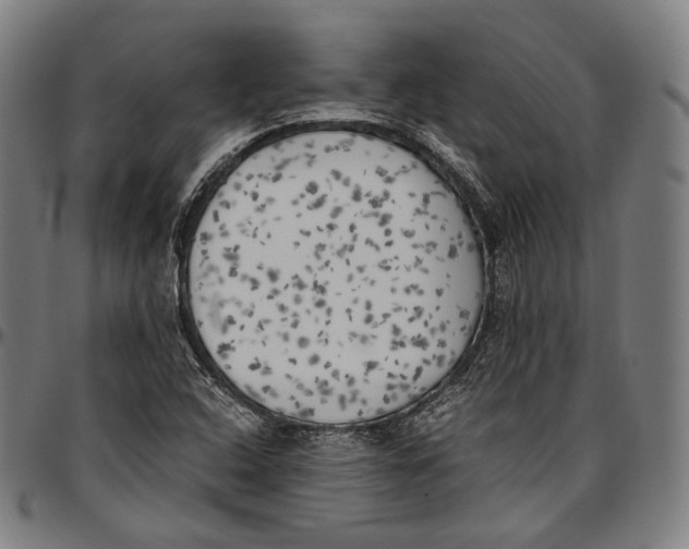 X0000096961408200802291110