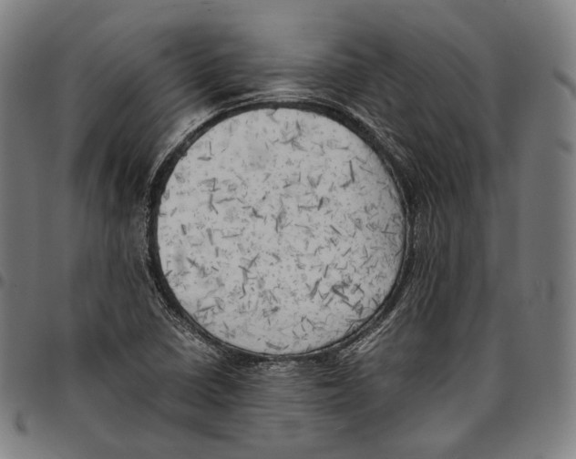 X0000096961410200802291110