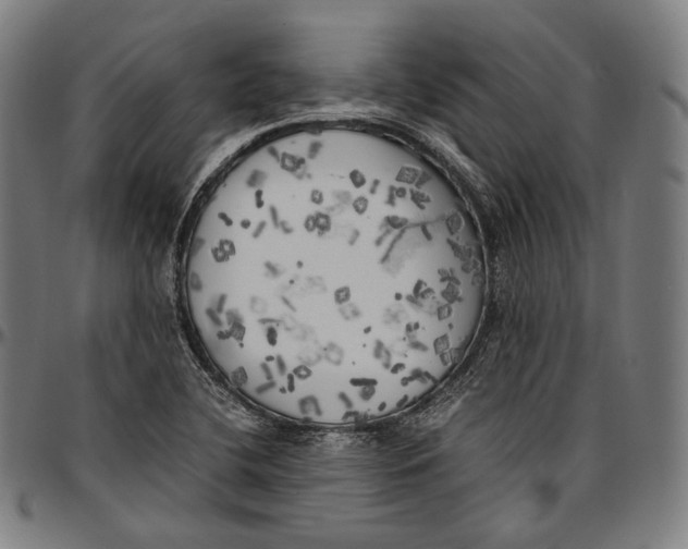 X0000096961412200802291110