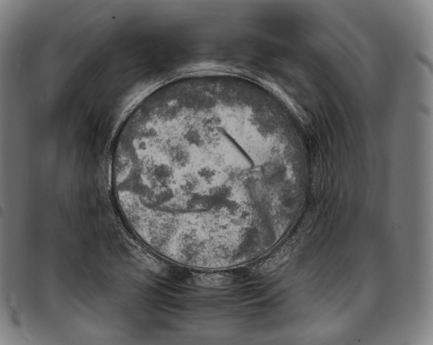 X0000096961413200802291110