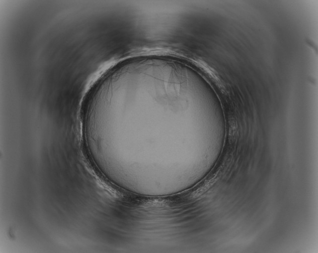 X0000096961414200802291110