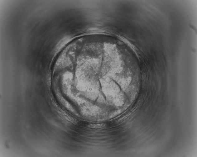 X0000096961415200802291110