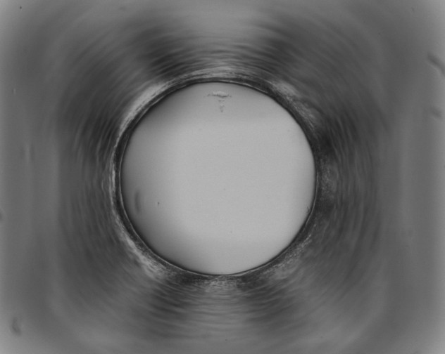 X0000096961418200802291110