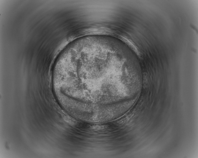 X0000096961419200802291110