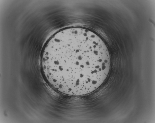 X0000096961420200802291110